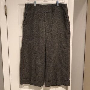 Capri dress pants
